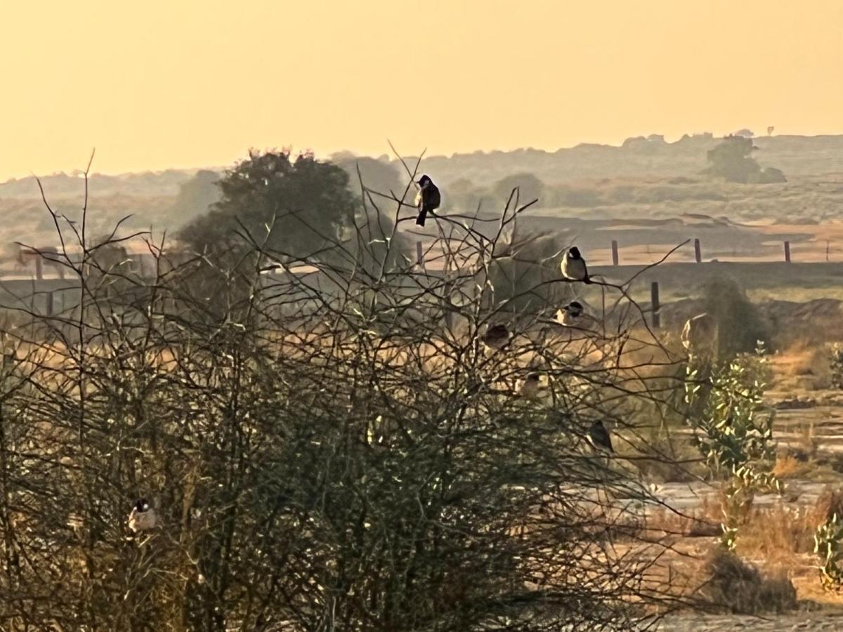 Golden Villa Jaisalmer Luaran gambar
